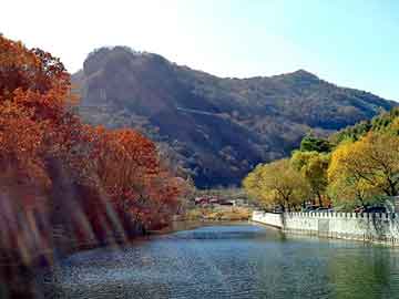 澳门二四六天天彩图库，到台湾海运